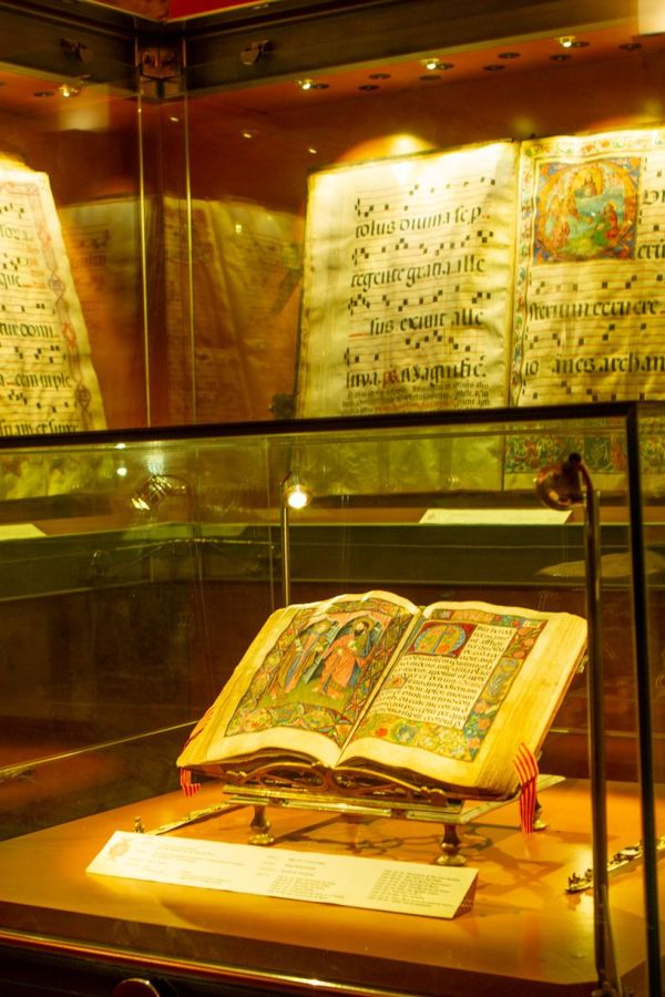 VISITAS A MUSEOS